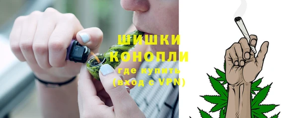 шишки Майский