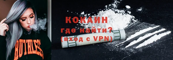 шишки Майский