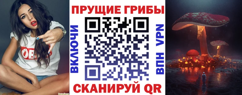 Псилоцибиновые грибы Magic Shrooms Юрга