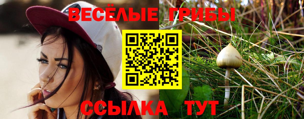 Галлюциногенные грибы мухоморы  Вход с VPN  где купить наркоту  Юрга 