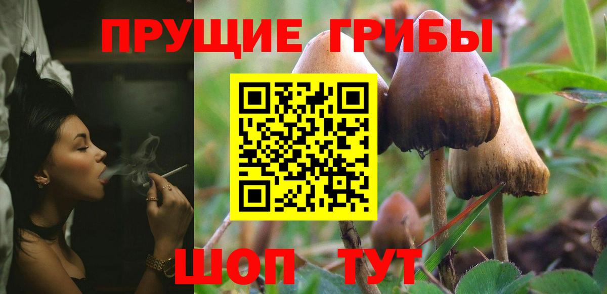 Галлюциногенные грибы прущие грибы Юрга